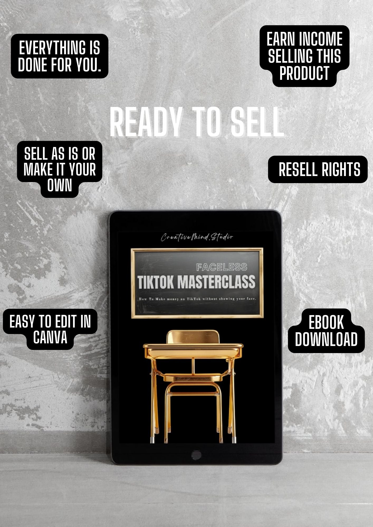 Faceless TikTok Masterclass | eBook w/ PLR