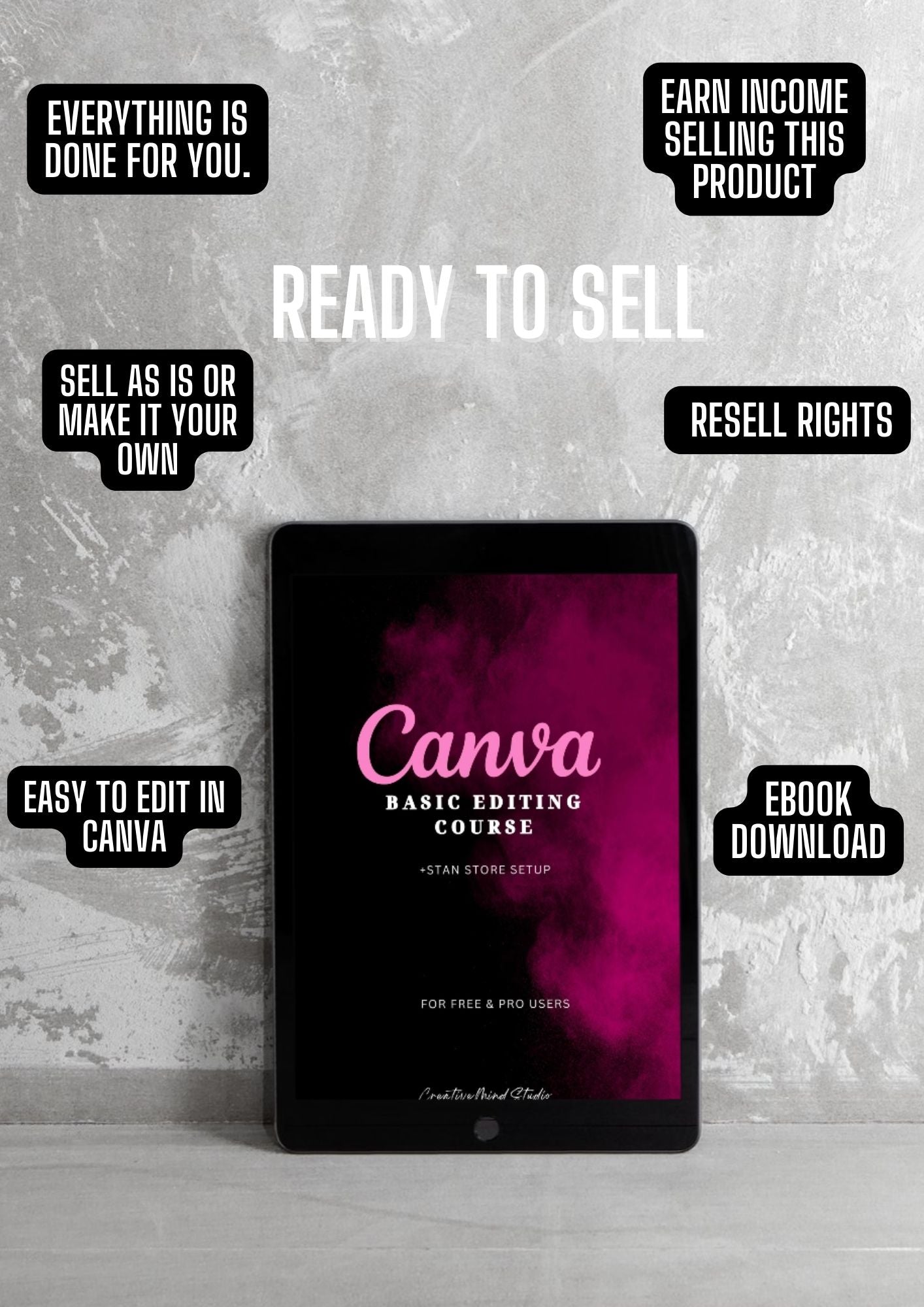 Canva Basic Editing | Course w/PLR