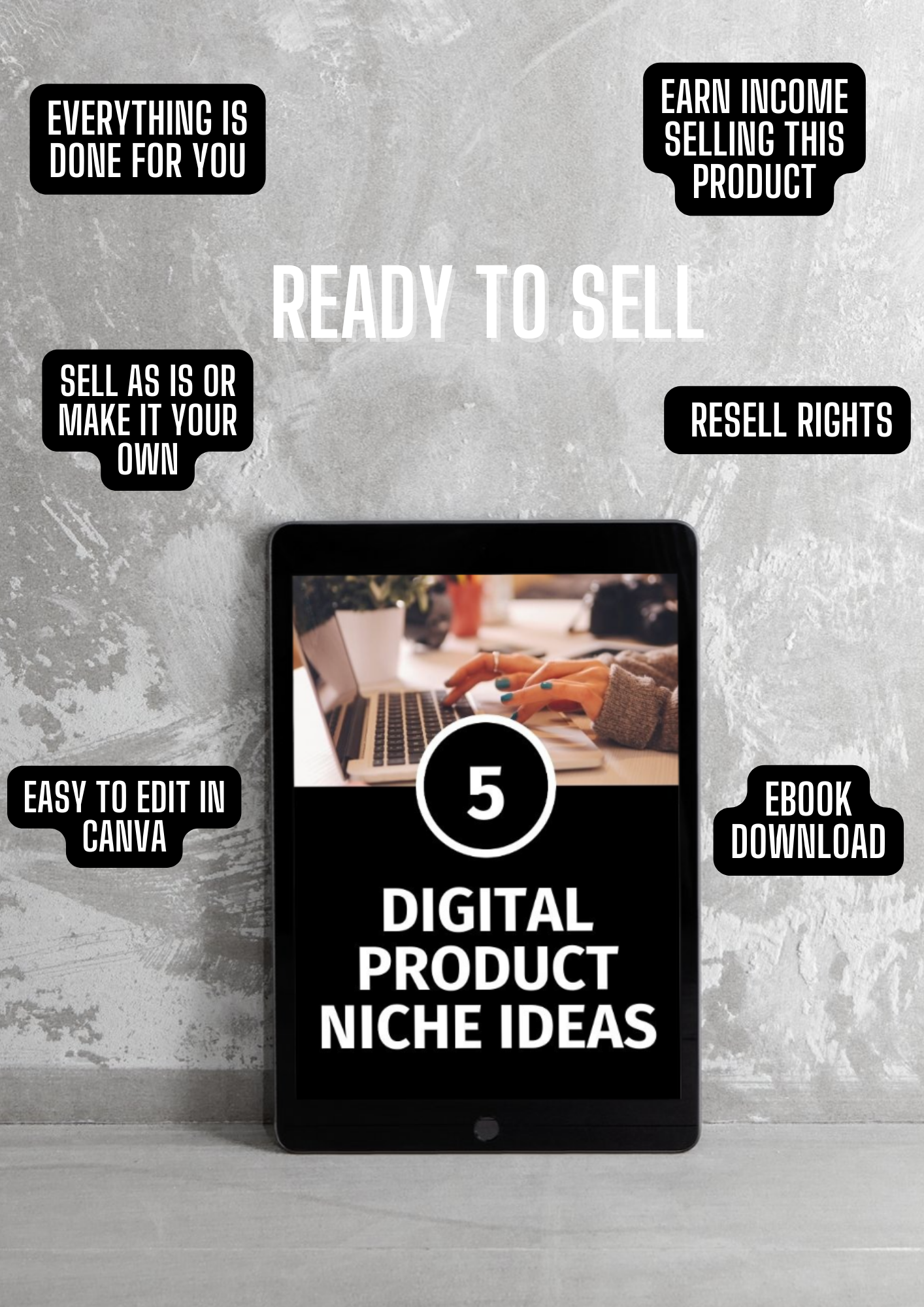 5 Digital Product Niche Ideas | eBook w/ PLR